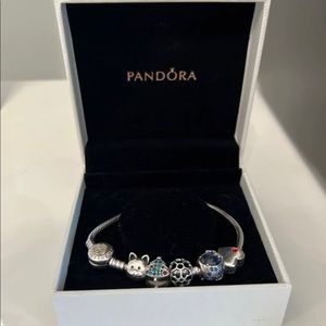 Pandora Bracelet